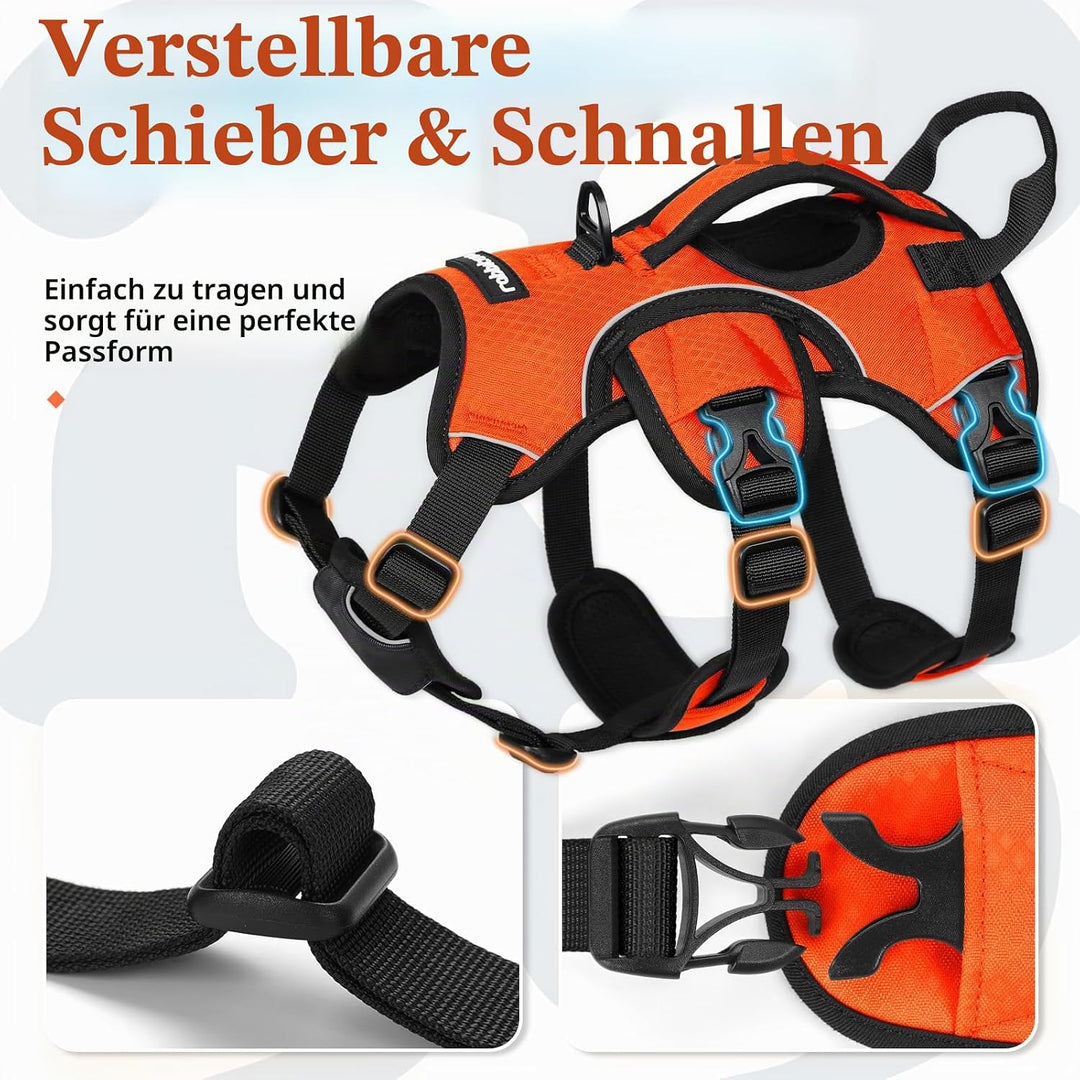 rabbitgoo Ausbruchsichere Hundegeschirr Kleine Hunde mit Griff, Anti Zug Sicherheitsgeschirr Hund At