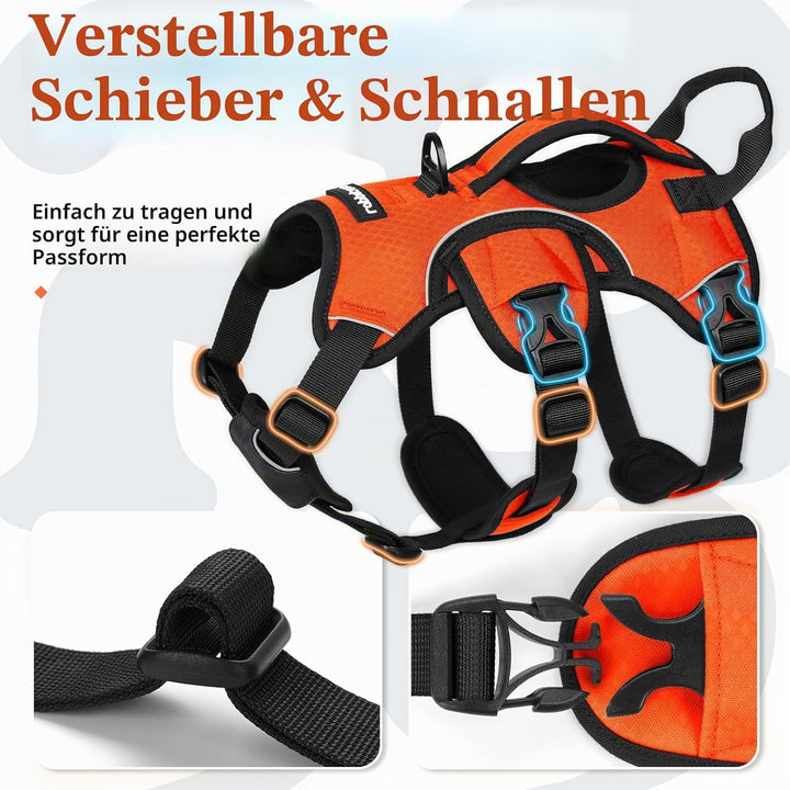 rabbitgoo Ausbruchsichere Hundegeschirr Kleine Hunde mit Griff, Anti Zug Sicherheitsgeschirr Hund At