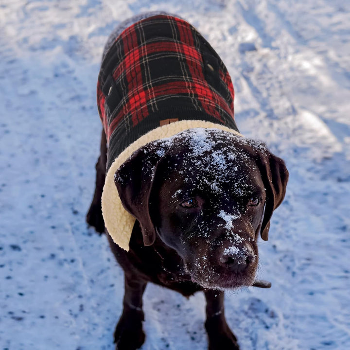 Warme Hundemantel Fleece, Wintermantel Winterjacken für Kleine/Grosse/Mittlere Hunde, Hundejacke Hun