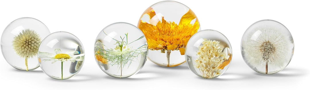 In Flore Dandelion Briefbeschwerer aus Harzglas, mit echtem Löwenzahn, 8 cm, weiss