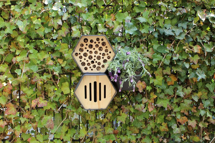 Capi Europe - Bienenhotel Hive - 19x23x20 - Anthrazit - CAPI Biodiversity Hive - AHBEA001 Anthrazit