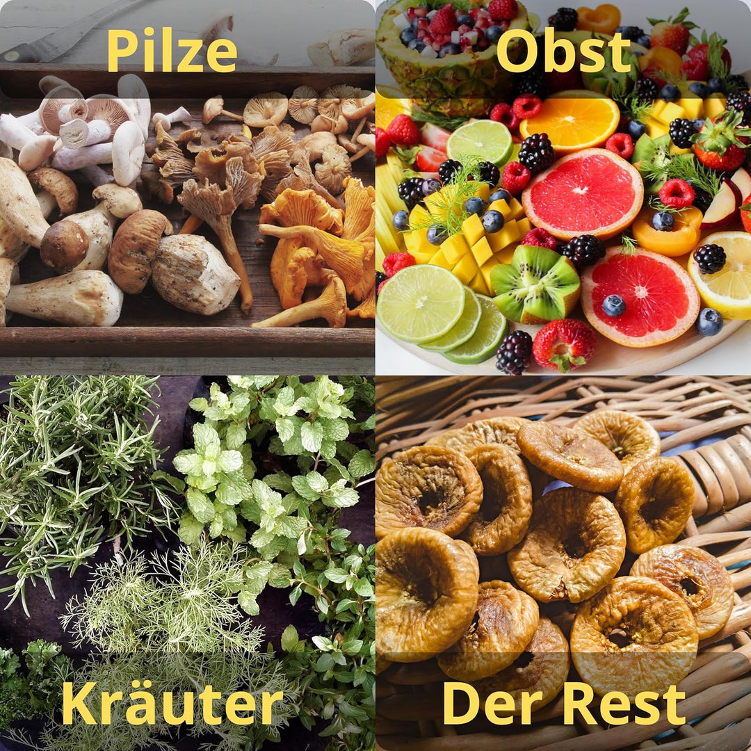 ADLER Küchenminis Dörrautomat, Dörrgerät für Obst, Pilze, Fleisch, Gemüse, Pflanzen, Kräuter & Gewür