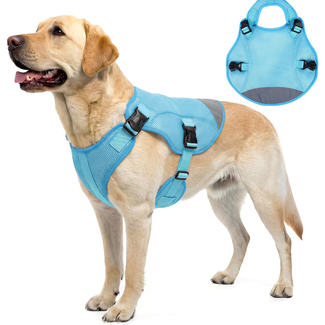 Kühlweste für Hunde XL, Hundekühlweste für grosse Hunde, Atmungsaktiv &amp; Leicht, Verdunstungskühlung,