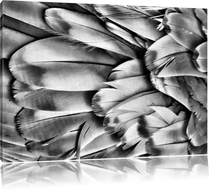 Pixxprint Monocrome, Bunte Papageienfedern, Format: 100x70 auf Leinwand, riesige Bilder fertig gerah