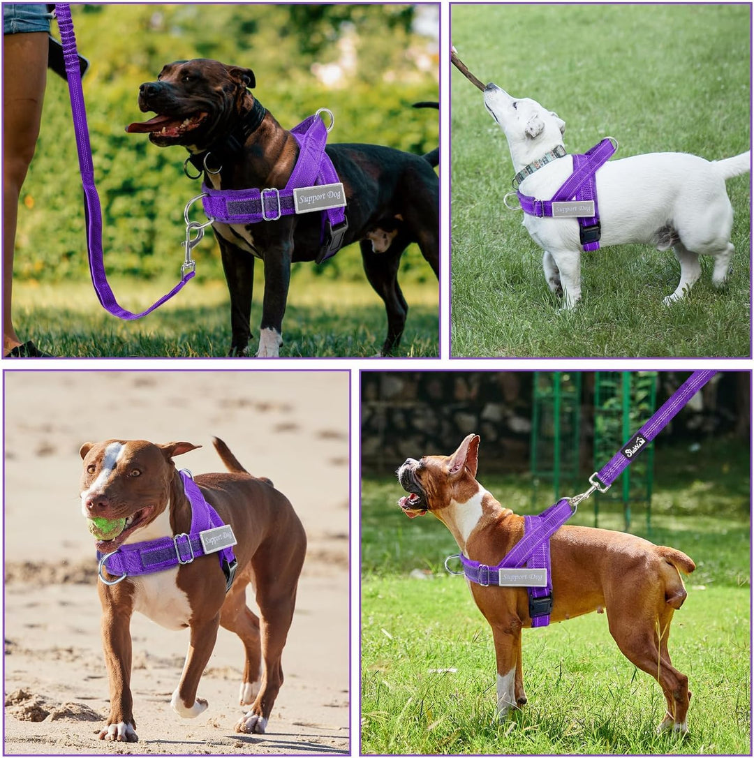 Hundegeschirr mit Leine für grosse mittelgrosse Hunde, Weich gepolsterter Brustgeschirr mit 2 Leinen