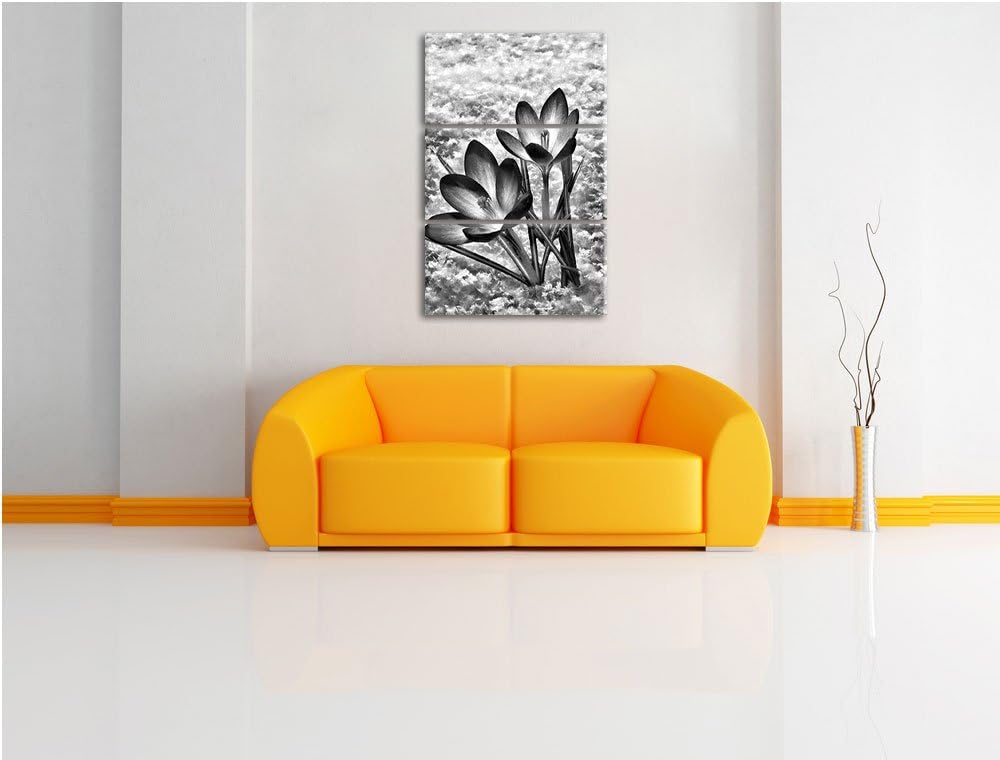 Pixxprint Monocrome, Lila Krokusse im Schnee 3-Teiler Leinwandbild 120x80 Bild auf Leinwand