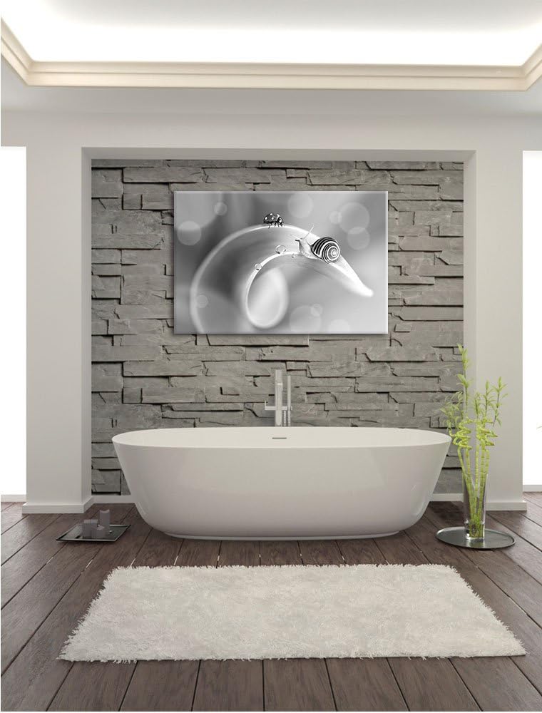 Pixxprint eine Schnecke und Marienkäfer auf Einer Pflanze Kunst B&W, Format: 100x70 auf Leinwand, ri