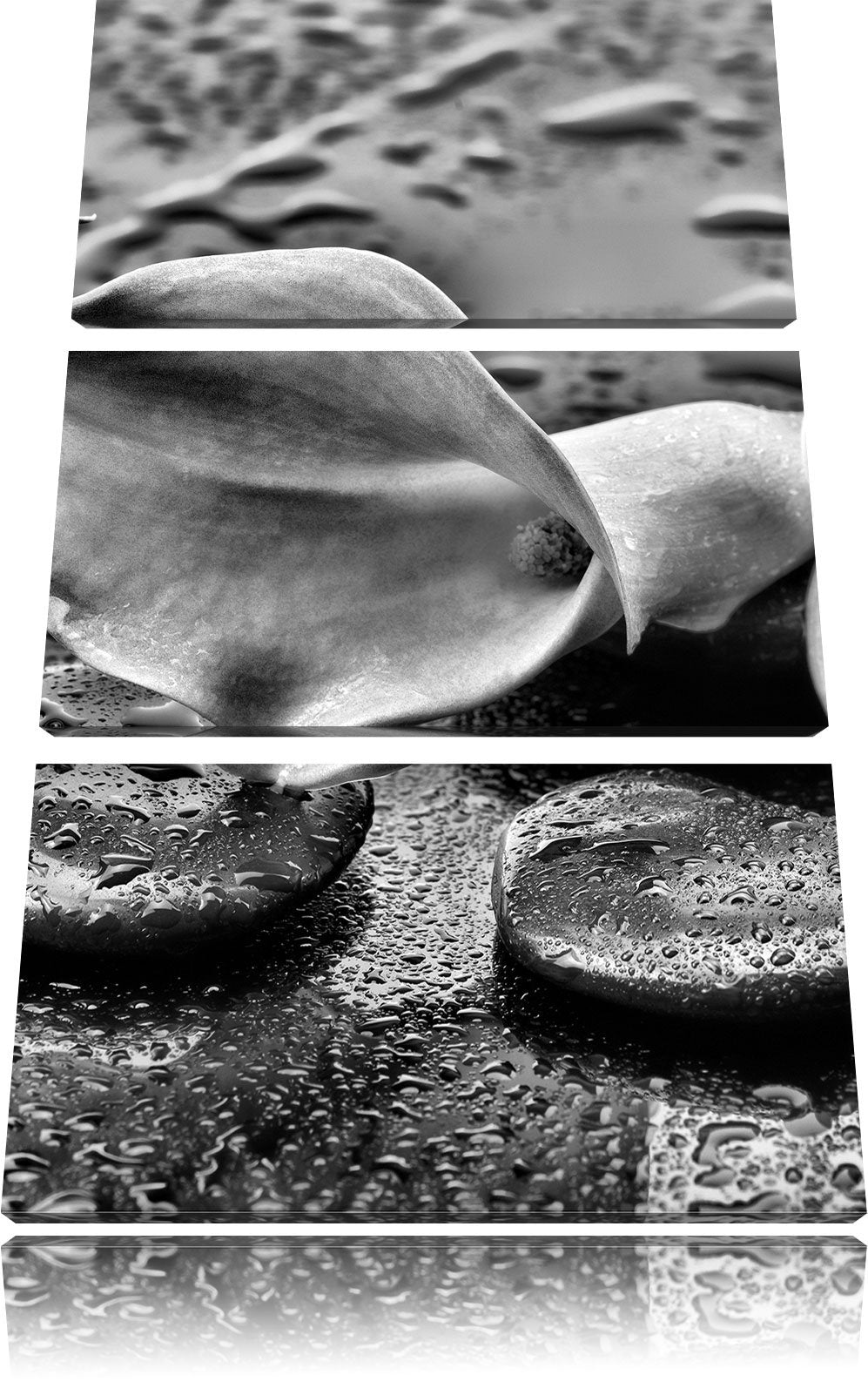 Pixxprint Callas im Regen als Leinwandbild/Grösse: 3 Teilig (120x80) cm/Wandbild/Kunstdruck/fertig b