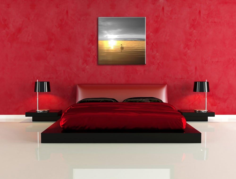 Pixxprint Einsamer Schwan auf See Schwarz/Weiss, Format: 70x70 auf Leinwand, 70x70