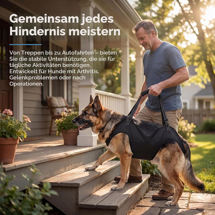 Tragehilfe Hund Hundegeschirr Hunde Tragehilfe für Grosse - XL | Hunde Tragehilfe für Mittelgrosse G