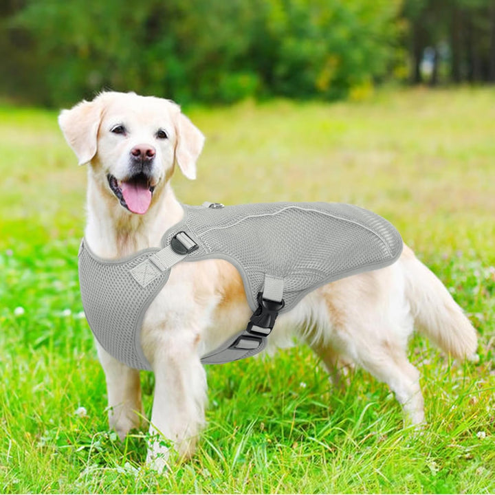 Kuoser Hund Kühlweste, Kühlweste für Hunde zur Abkühlung im Sommer, Atmungsaktive Hundekühlweste mit