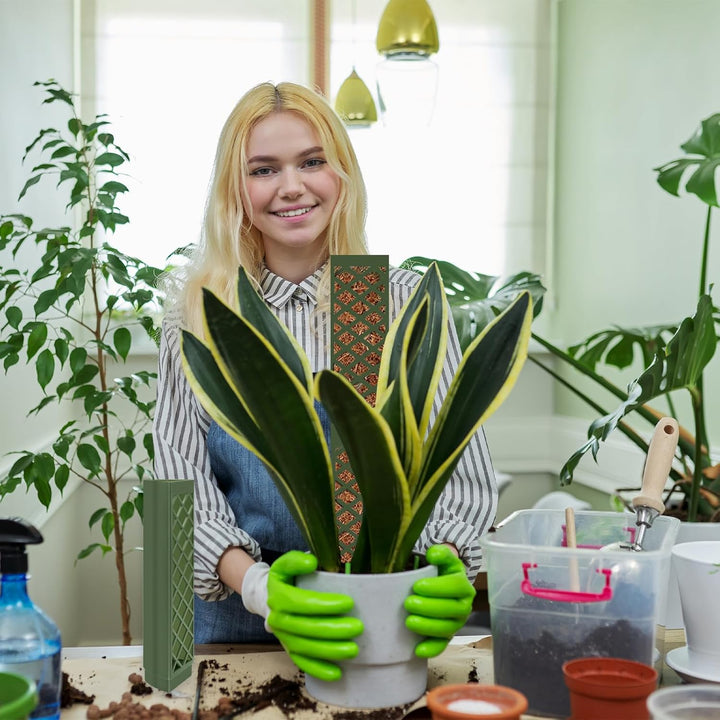 Moosstab für Monstera Rankhilfe Zimmerpflanzen Rankhilfe Monstera Pflanzstab Rankstäbe Plastik Mit P