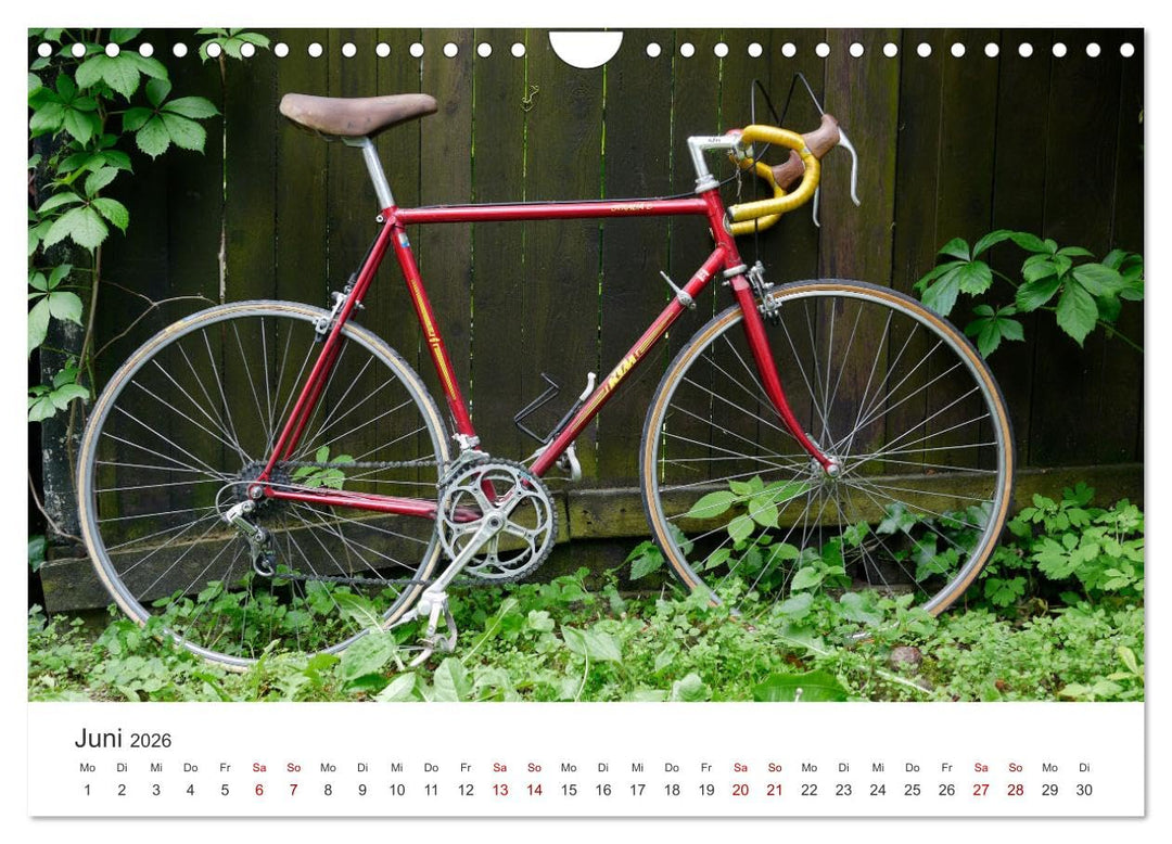 Stahlrenner - Rennrad-Klassiker aus Europa (Wandkalender 2026 DIN A4 quer), CALVENDO Monatskalender: