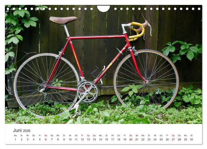 Stahlrenner - Rennrad-Klassiker aus Europa (Wandkalender 2026 DIN A4 quer), CALVENDO Monatskalender: