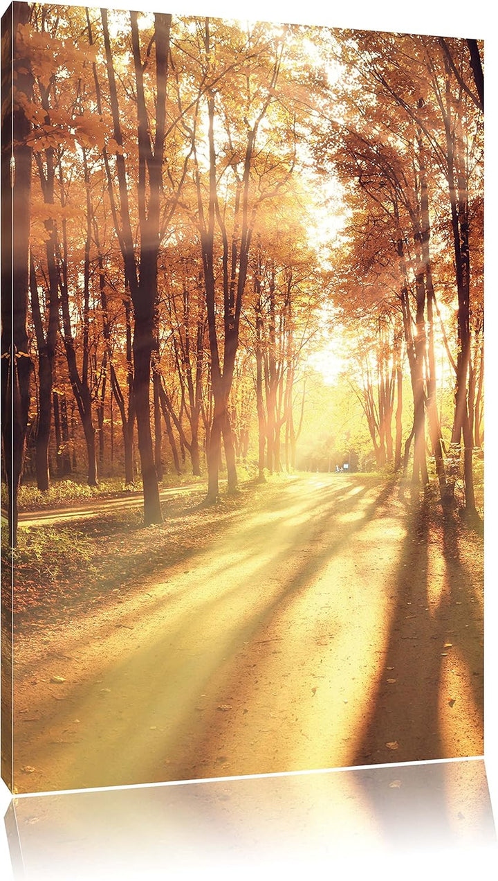 Baumallee im Herbst, Format: 100x70 auf Leinwand, XXL riesige Bilder fertig gerahmt mit Keilrahmen,