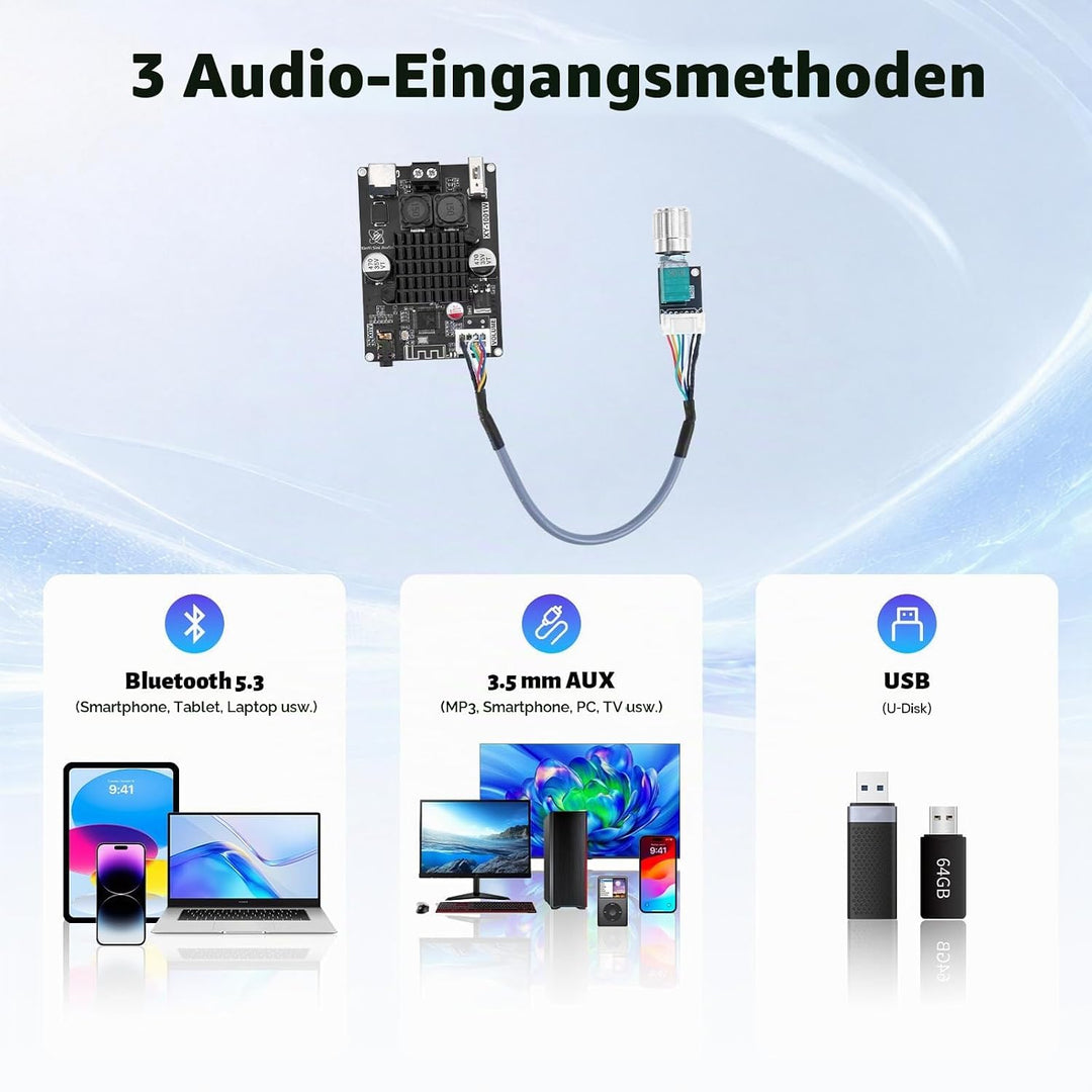 XY-1001W Bluetooth Verstärker Modul, TWS DC 9-24V 100W Mono Audio Verstärkerplatine mit AUX USB Blue