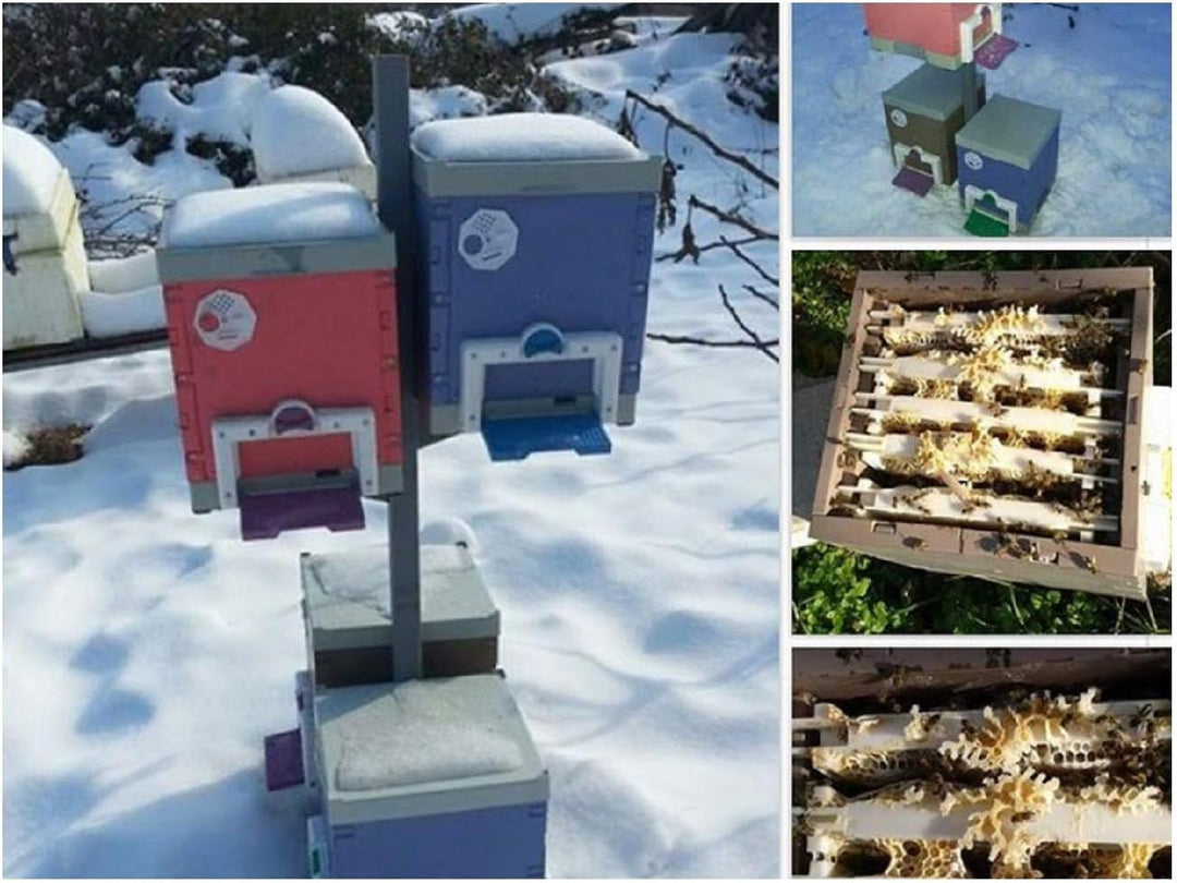 Uzman, Thermo Bienenstock Bienenbeute Bienenzucht Bienenkönigen Bienenhaus Imker Bienenkorb Bienenbo