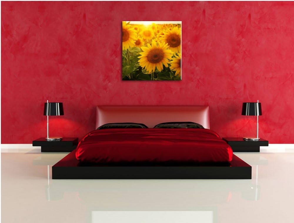 Sonnenblumen auf dem Feld, Format: 70x70 auf Leinwand, XXL riesige Bilder fertig gerahmt mit Keilrah