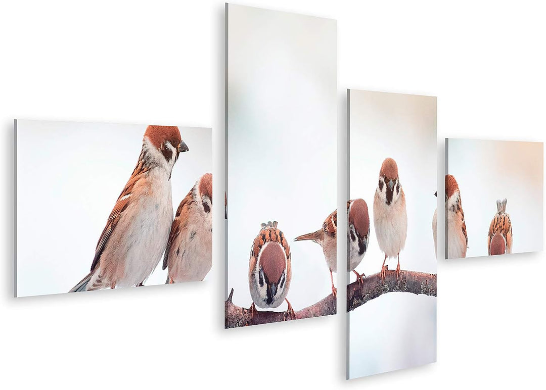 islandburner Bild auf Leinwand Spatzen Auf Einem Zweig Sitzend Panoramabild Bilder Wandbilder Poster