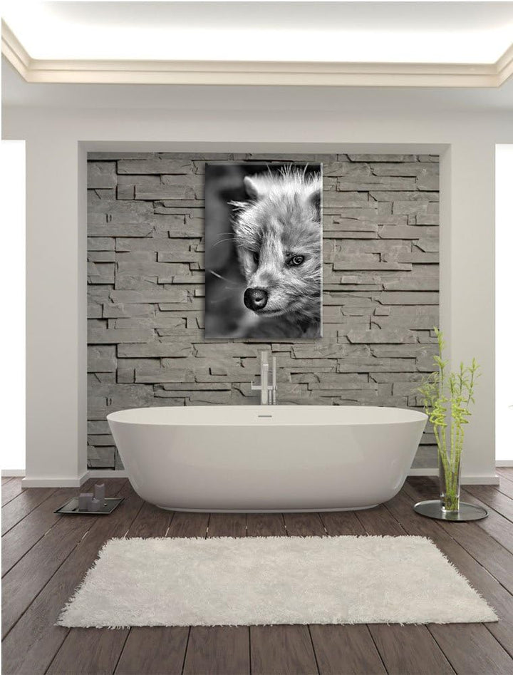 Pixxprint Monocrome, Polarfuchs in Höhle, Format: 100x70 auf Leinwand, riesige Bilder fertig gerahmt