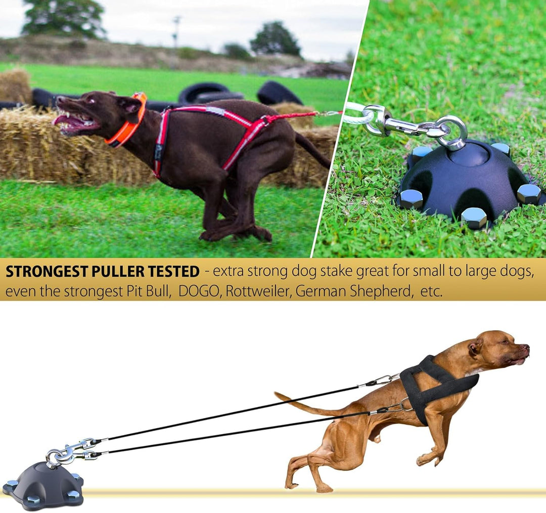 Patentierter 360° drehbarer Hundeanker für Hunde bis zu 68 kg – Hundeleine und Pfahl mit 5 Schrauban