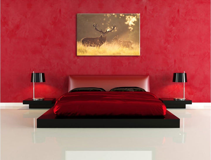 Pixxprint Rotwild im goldenen Morgenlicht als Leinwandbild/Grösse: 100x70 cm/Wandbild/Kunstdruck/fer