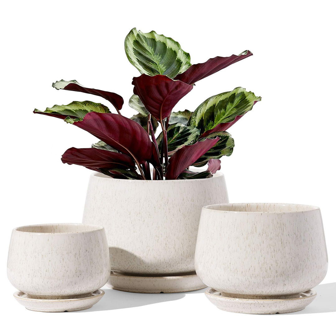 LE TAUCI Blumentöpfe 4,1+5,1+16,5 cm 3er Set Keramik Pflanzgefässe mit Ablaufloch und Untersetzer, I