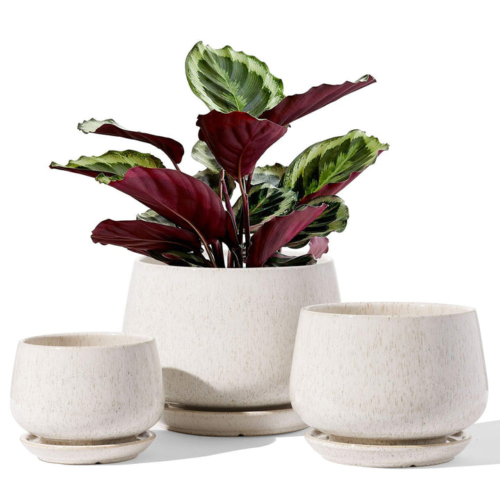 LE TAUCI Blumentöpfe 4,1+5,1+16,5 cm 3er Set Keramik Pflanzgefässe mit Ablaufloch und Untersetzer, I