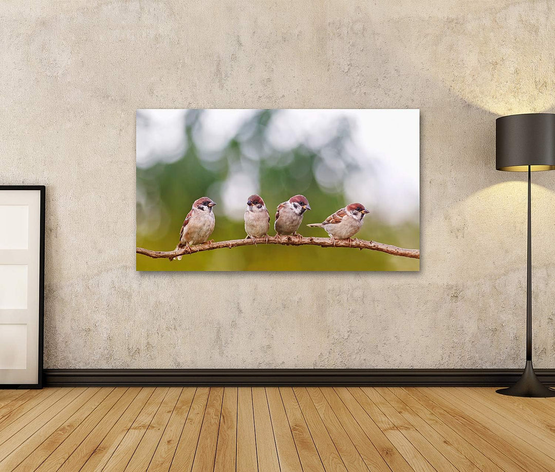 islandburner Bild auf Leinwand Lustige Spatzen Vögel Gruppe Frühling Bilder Wandbilder Poster Leinwa