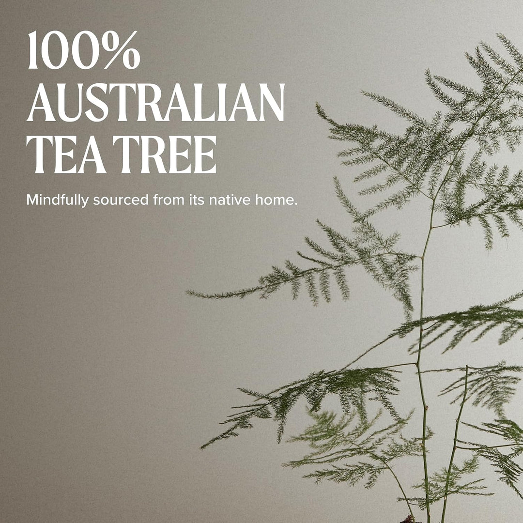 Paul Mitchell Tea Tree Styling Wax - Shaping-Paste verleiht Struktur und Glanz ideal für kurzes Haar