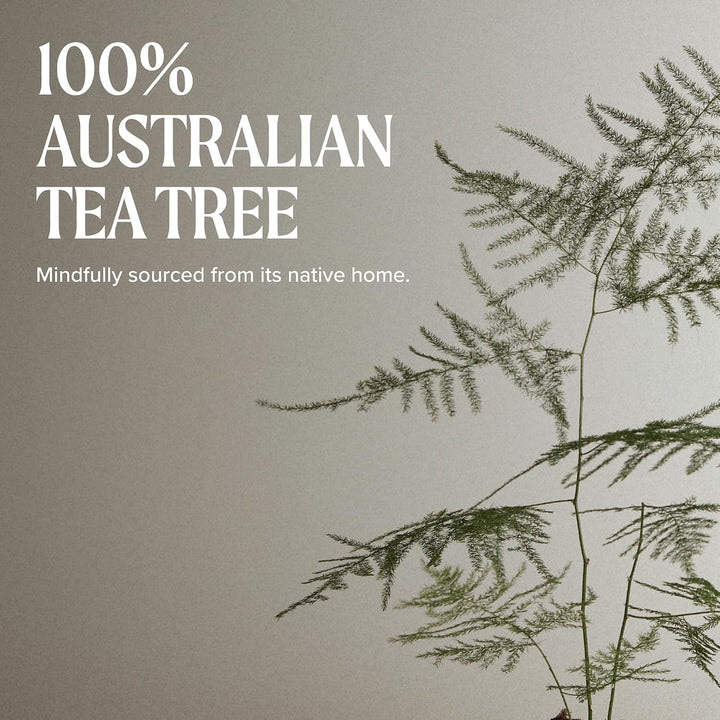 Paul Mitchell Tea Tree Styling Wax - Shaping-Paste verleiht Struktur und Glanz ideal für kurzes Haar