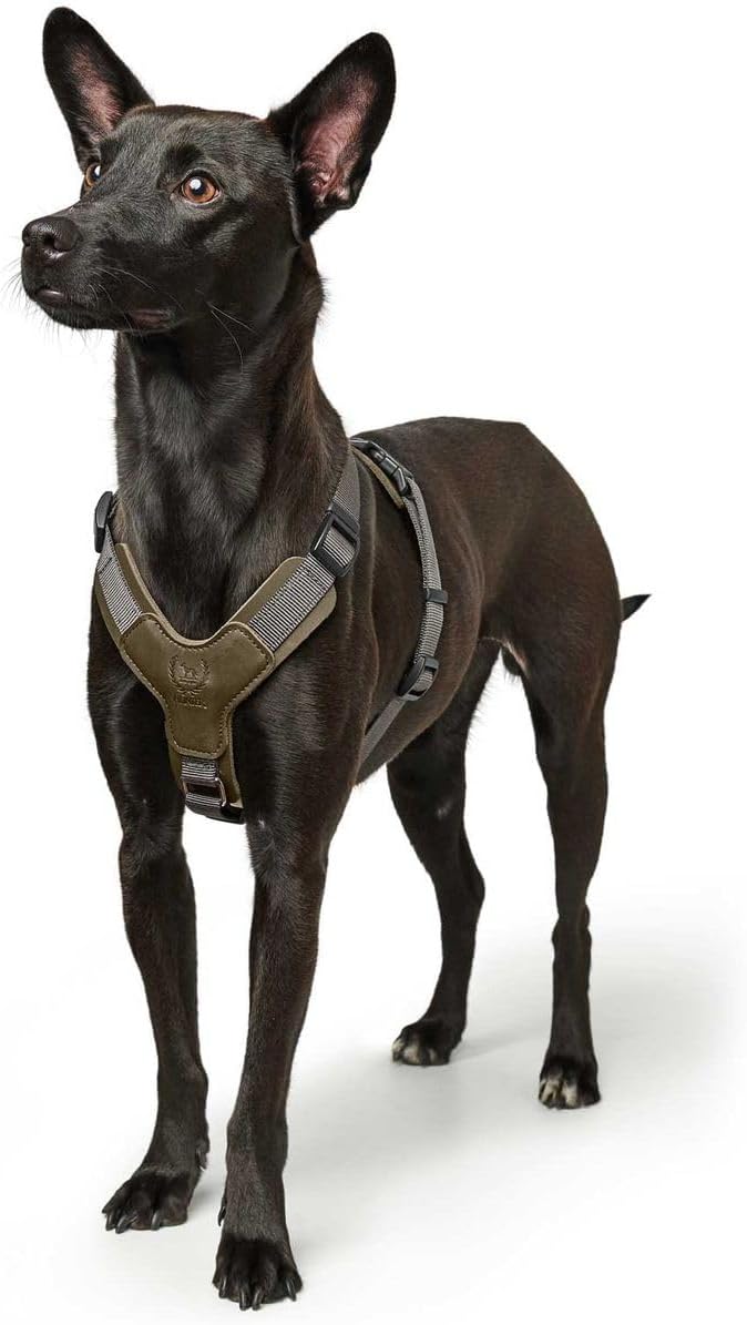 HUNTER AALBORG MIXED Hundegeschirr, S, oliv/grau oliv/grau 46 - 67 cm, oliv/grau 46 - 67 cm