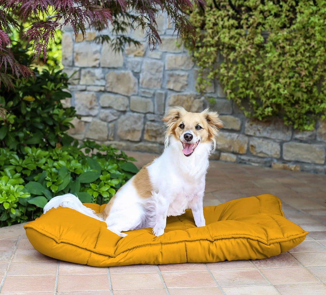 Elegant Hundekissen Maxy, Gelb, 60x100cm, MAXY-CS-GIALLO-60X100 Gelb 60x100cm, Gelb 60x100cm