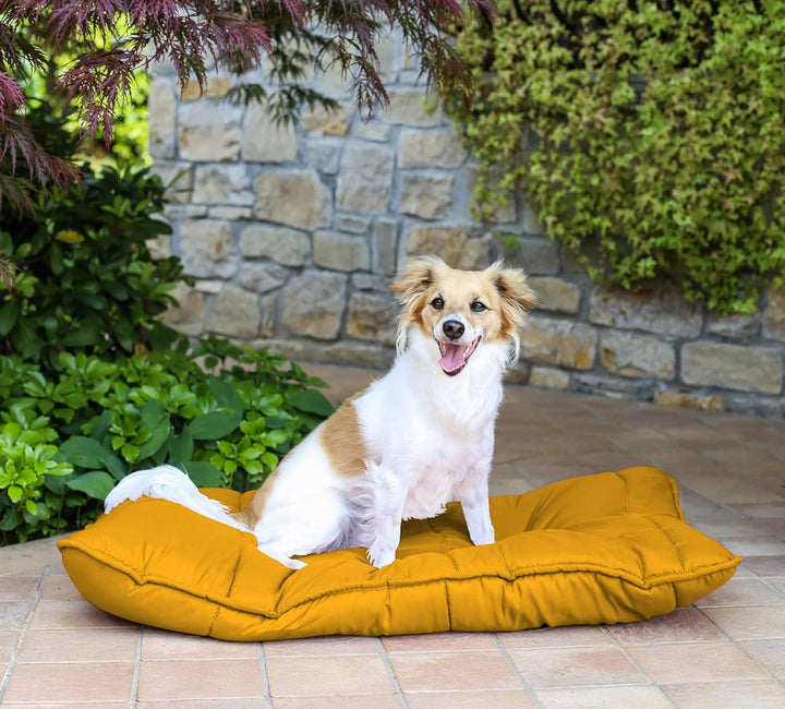 Elegant Hundekissen Maxy, Gelb, 60x100cm, MAXY-CS-GIALLO-60X100 Gelb 60x100cm, Gelb 60x100cm
