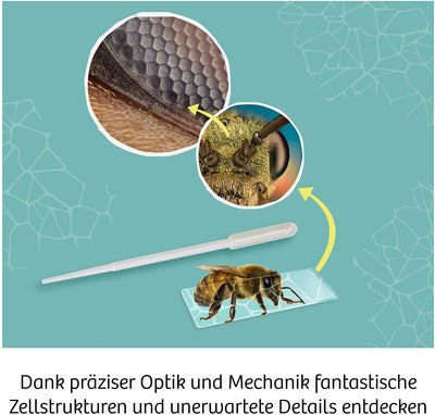 KOSMOS 636098 Mikroskop Experimentierkasten für Kinder, Schüler Mikroskop, Mikroskop für Kinder ab 1