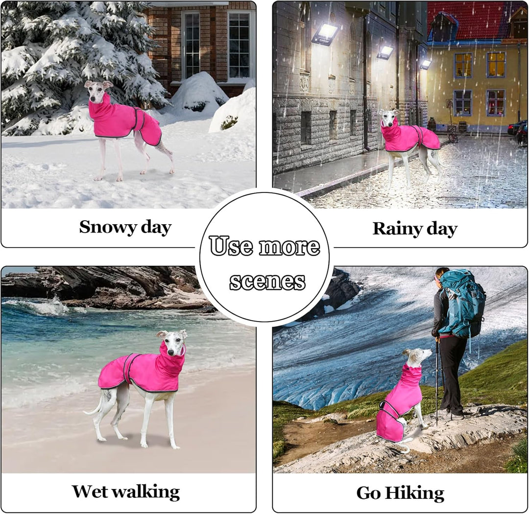 Geyecete Windhund Leicht Hundejacke Regenjacke, Hunderegenmantel Wasserdicht Verstellbar Windhundeja