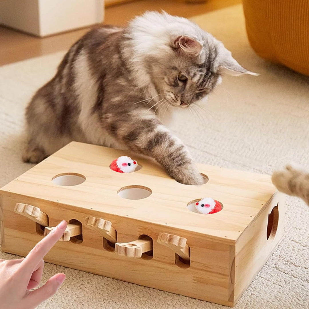 Interaktives Katzenspielzeug, 5-Loch-Mäuse-Schlag-eine-Maulwurf Katzenmaus-Spielzeug, Holz Spielzeug