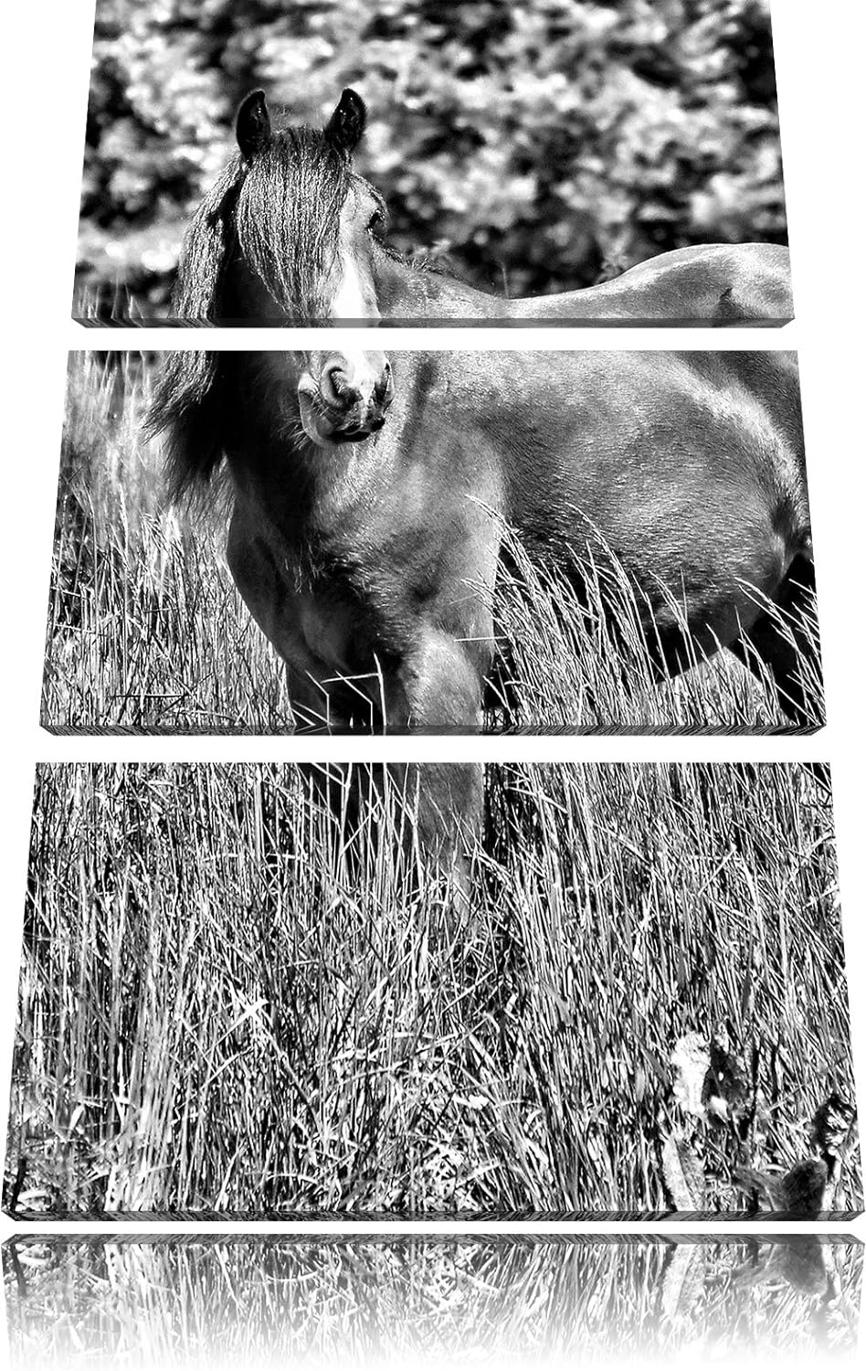 Pixxprint Braunes Pferd auf Wiese als Leinwandbild/Grösse: 3 Teilig (120x80) cm/Wandbild/Kunstdruck/