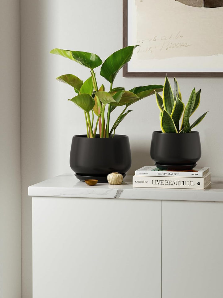 LE TAUCI 3 er Pack Übertöpfe Keramik, 10+13+16 cm Durchmesser Klein Töpfe Set, Blumentopf für Zimmer