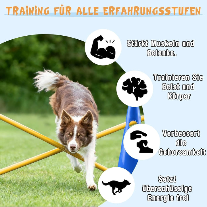 FARYODI Sports Steckhürdenset, Agility Set Hunde, Hindernisse Hobby Horsing, Hunde Sport, Cavaletti