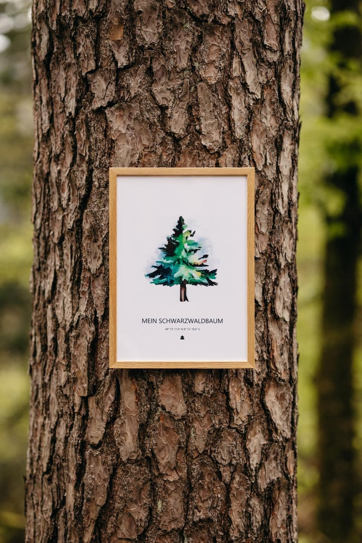 Baumspende & Aquarell 'Tanne modern' (Druck im Rahmen) | Nachhaltig | Geschenk Geburtstag, Hochzeit,