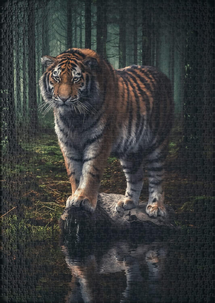 Ulmer Puzzleschmiede - Puzzle „Herrscher des dunklen Waldes“ - Der majestätische Sibirische Tiger pi