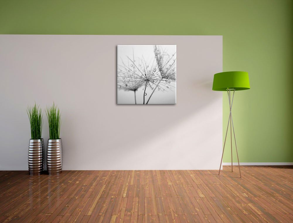 Pixxprint Pusteblume bedeckt mit Tropfen Schwarz/Weiss, Format: 70x70 auf Leinwand, 70x70
