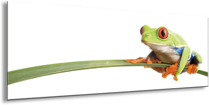 artissimo, Glasbild, 80x30cm, AG1968A, Little Frog, Frosch, grün, Bild aus Glas, moderne Wanddekorat