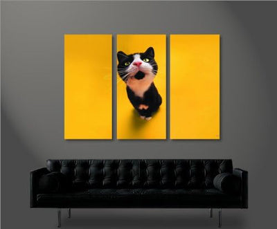 islandburner Bild Bilder auf Leinwand Felix The Cat Katzenbild XXL Poster Leinwandbild Wandbild Deko