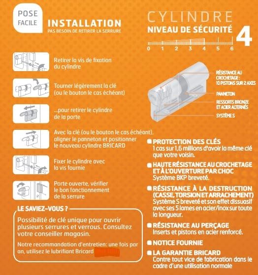 Bricard Zylinder Trial S 30 + 30 vernickelt, doppelte Eingang, Sicherheitsstufe 4, Wendeschlüssel, W