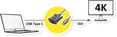 ROLINE USB Typ C - DVI Adapterkabel, ST/ST, 1 m 1m, 1m