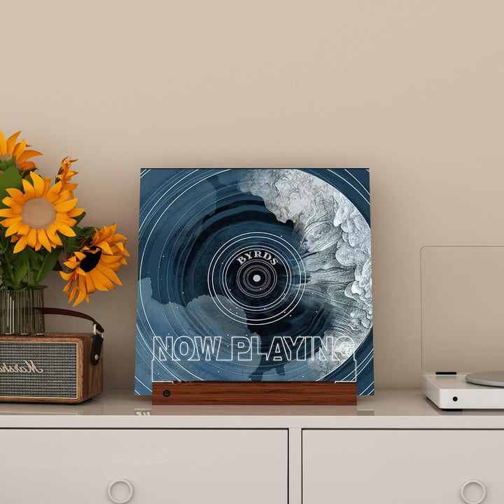 YuanDian Schallplattenständer, Light up Now Playing Vinyl Record Stand mit 16 wechselnden Farbe Lich