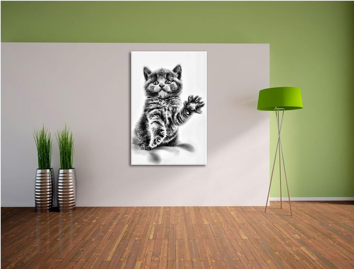 Pixxprint Babykatze die bettelt als Leinwandbild/Grösse: 100x70 / Wandbild/Kunstdruck/fertig bespann