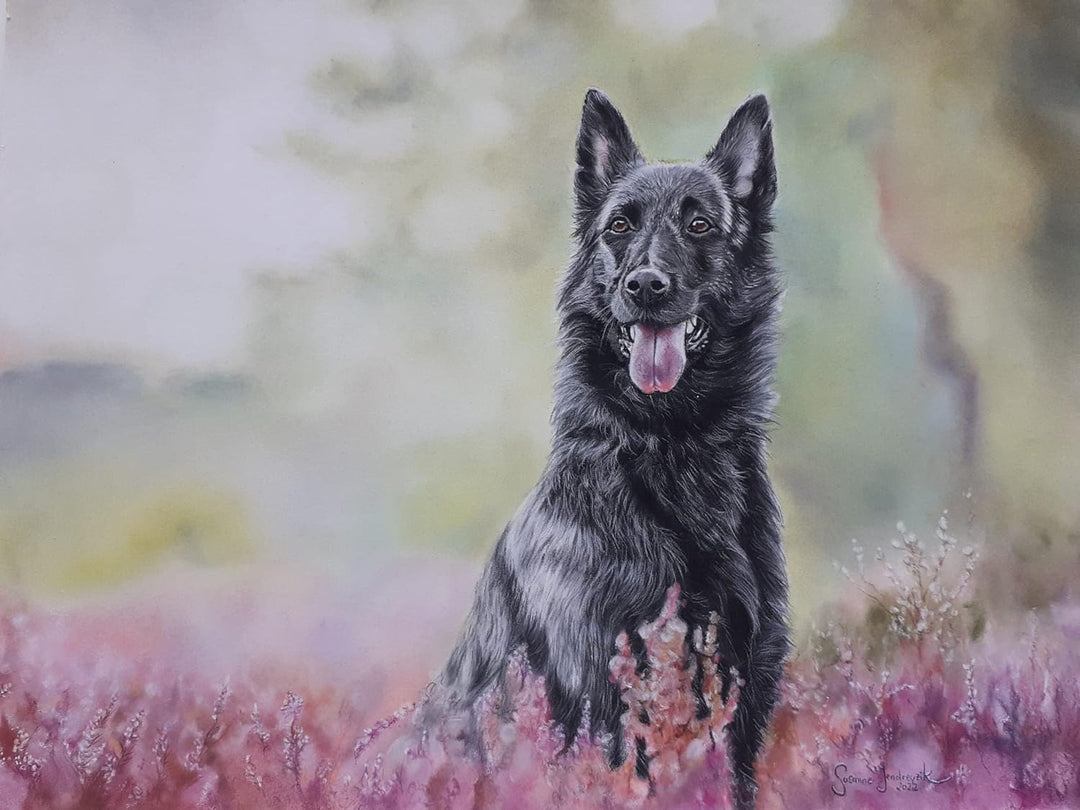 Clairefontaine 696009C - Packung mit 5 Zeichenbögen Pastelmat, ideal für Trockentechniken und Pastel